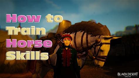 bdo how to train horse skills.